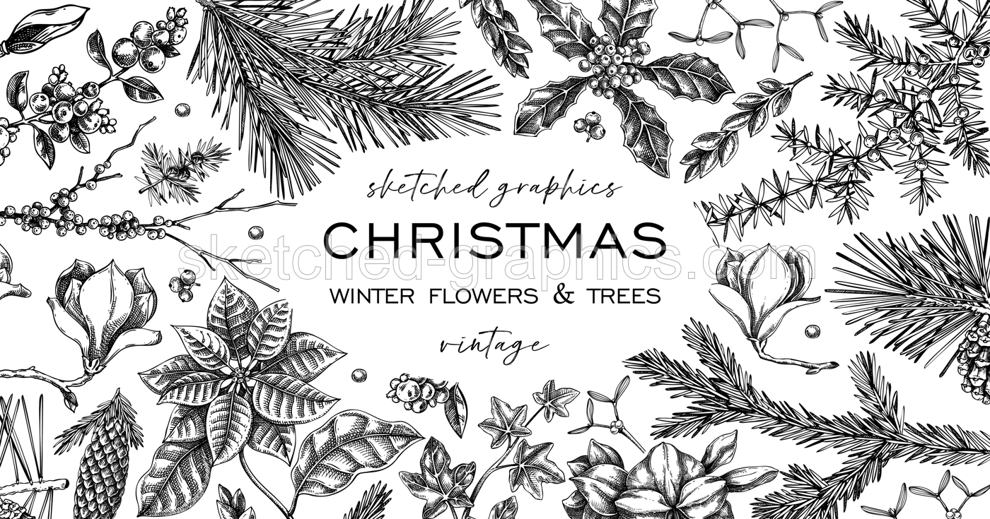 Christmas frame design. Winter flowers background. Conifer tree, evergreen plant, berry sketches. Hand drawn vector illustration. NOT AI generated Illustration